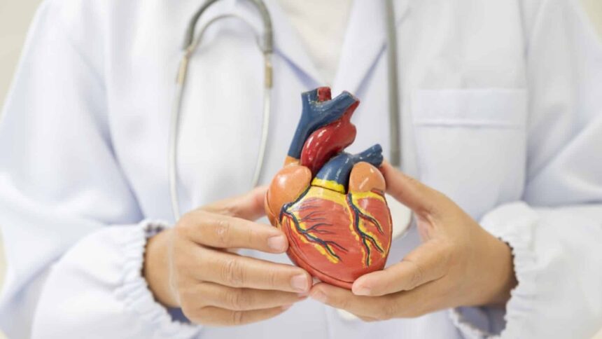 diabetul zaharat de tip 2 poate modifica fizic inima pacientilor explicatiile oamenilor de stiinta 695e297a204e2