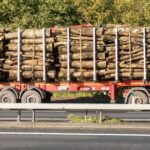 doar lemnul plateste tribunalul sanctioneaza taxa impusa de primaria cristesti transportatorilor de masa lemnoasa 69645308ddb15