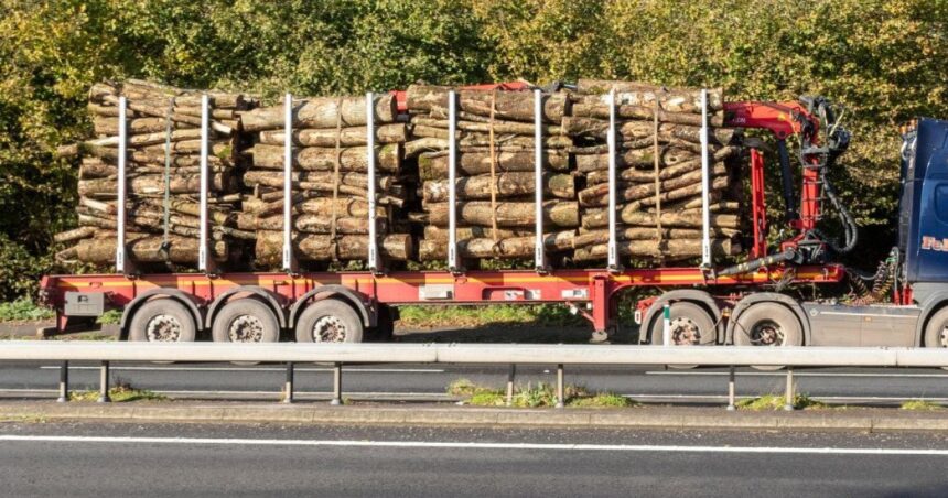 doar lemnul plateste tribunalul sanctioneaza taxa impusa de primaria cristesti transportatorilor de masa lemnoasa 69645308ddb15