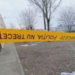 doi adolescenti au omorat un baiat de 15 ani si l au ingropat in curtea unei case in timis au incercat sa i dea foc 6970c8e55b6de