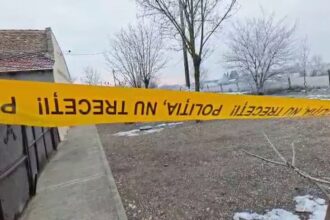 doi adolescenti au omorat un baiat de 15 ani si l au ingropat in curtea unei case in timis au incercat sa i dea foc 6970c8e55b6de