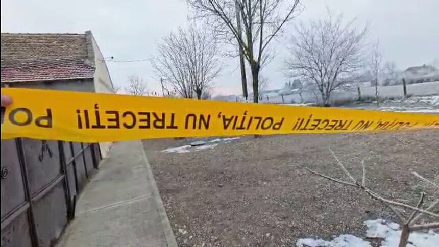 doi adolescenti au omorat un baiat de 15 ani si l au ingropat in curtea unei case in timis au incercat sa i dea foc 6970c8e55b6de