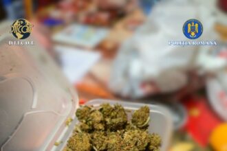 doi barbati au fost saltati de politisti fiind prinsi cu un colet plin cu droguri din spania 6957aef2e837c