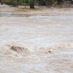 doua persoane au cazut in raul olt una dintre ele a fost salvata in timp ce a doua este cautata in continuare de mai multe echipaje de salvare 695773c08f932