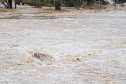 doua persoane au cazut in raul olt una dintre ele a fost salvata in timp ce a doua este cautata in continuare de mai multe echipaje de salvare 695773c08f932