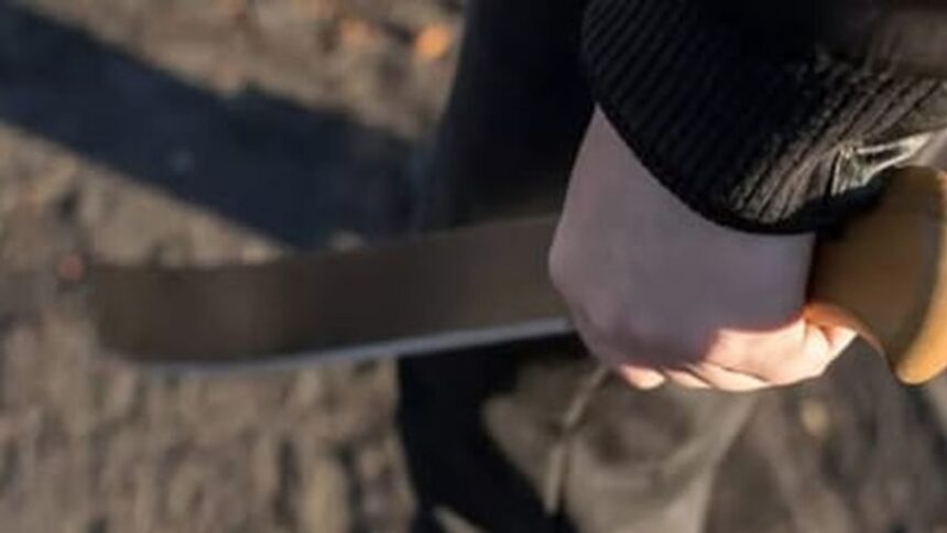 elev lovit cu maceta intr un liceu din braila agresorul e un minor de 16 ani aflat sub control judiciar 697895ba9a220