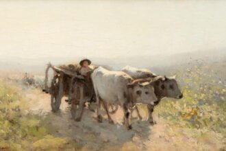 executare silita o parte a colectiei darius valcov continand intre altele o lucrare de picasso se vinde prin licitatie 696a23d4e910a