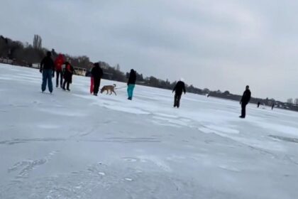gerul a inghetat lacul snagov cetatenii s au avantat pe gheata dupa ce o fetita a fost la un pas de tragedie la craiova 696def00ae62b