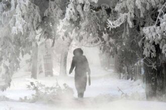 iarna pune stapanire pe iasi meteorologii anunta nopti si dimineti geroase in urmatoarele zile 6968a70d57bfb