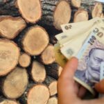 iarna saraciei la sat batranii stau in frig pentru ca lemnele sunt mult prea scumpe video 696b948daa25e