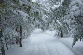 iarna se intensifica cea mai mare parte a tarii sub cod galben si cod portocaliu de ninsori harta 695a2d0ba9c00 1