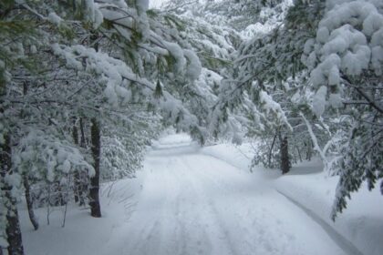 iarna se intensifica cea mai mare parte a tarii sub cod galben si cod portocaliu de ninsori harta 695a2d0ba9c00 1