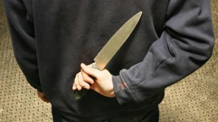 incident socant in braila copil de 10 ani atacat cu un cutit de un alt minor video 696b79b19685d