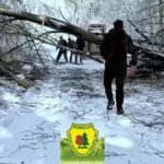 interventie in conditii extreme in caras severin drumuri blocate de copaci si zapada video 6964d46ba2abb