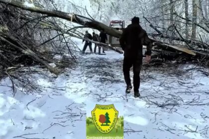 interventie in conditii extreme in caras severin drumuri blocate de copaci si zapada video 6964d46ba2abb