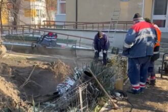 mai multe blocuri din gradinari lasate fara incalzire explicatiile termo service 696e1d926da9c