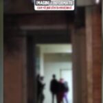 meciuri ilegale de box in mijlocul strazii mai multi copii implicati in lupte stradale 6978809981e1a