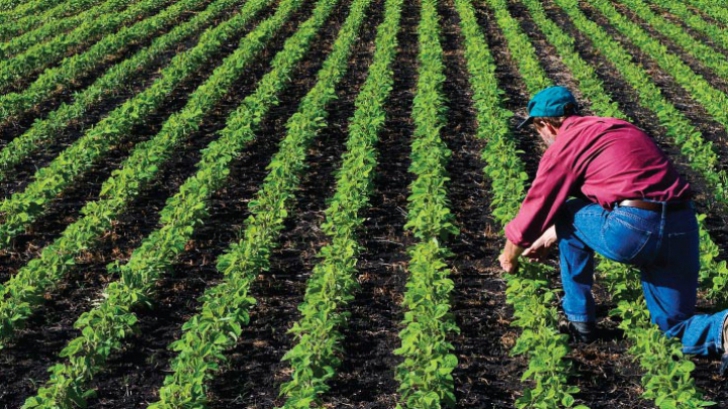 ministerul agriculturii a autorizat la plata peste 527 milioane de euro pentru fermierii romani 6969126d2510a