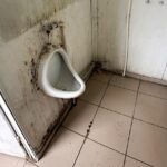 mizerie de nedescris la toaletele din bazarul iasi comerciantii si clientii sunt revoltati pe conducerea de la ecopiata sa 695ef6ea3cc8c