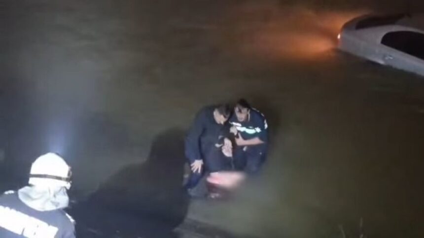 momentul in care doi politisti au salvat o femeie dintr o masina cazuta in raul jiu video 695f85a6c3662 1