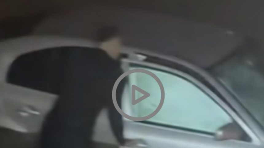 momentul in care doi politisti sar in apele reci ale jiului pentru a salva o femeie care a cazut cu masina in rau doamna ma auziti video 695f7ec8c1a7b 2