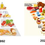 nutritionistii din iasi saluta noua piramida alimentara una rasturnata fata de cea veche studii de ultima ora spun ca dieta mediteraneana reprezinta modelul alimentar de viitor 69703098bfd21