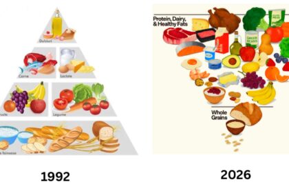 nutritionistii din iasi saluta noua piramida alimentara una rasturnata fata de cea veche studii de ultima ora spun ca dieta mediteraneana reprezinta modelul alimentar de viitor 69703098bfd21