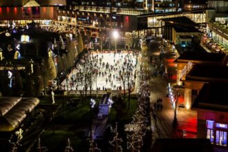 palas ice te asteapta pe gheata de luni pana joi ai parte de reduceri la biletele achizitionate online 697b7a85db3b6