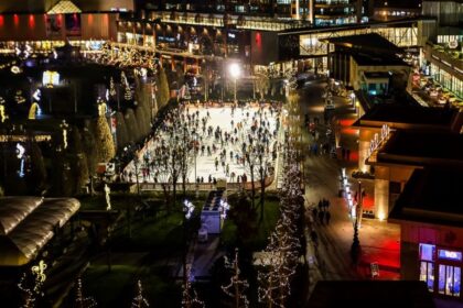 palas ice te asteapta pe gheata de luni pana joi ai parte de reduceri la biletele achizitionate online 697b7a85db3b6