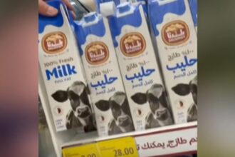 paradoxul care sfideaza logica un stat din desert are produse lactate ieftine din abundenta romania importa 695935e23d583