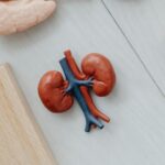 pietrele la rinichi nu sunt doar depuneri de oxalati surprinzator ce s a descoperit in urma unui nou studiu 6979aa5b0c339