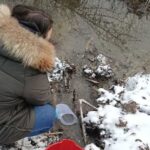 primarie din dolj amendata cu 40 000 de lei pentru punerea in functiune a canalizarii fara autorizatie verificari pentru poluare 696fa2d6130e9