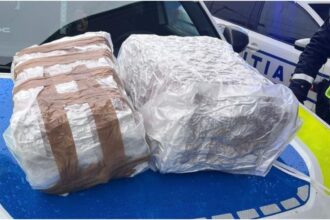 retea de trafic de droguri de mare risc destructurata in vrancea 15 kilograme de canabis descoperite de politisti intr o masina 6978bdb9c622e
