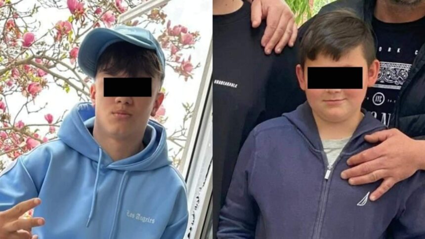 rezultatele toxicologice schimba datele anchetei in cazul crimei din timis minorul de 13 ani consumase droguri inainte de a si ucide amicul 697392a74c533