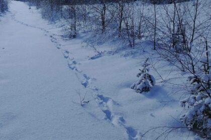 salvamont suceava anunta care sunt traseele montane pe care turistii trebuie sa le evite lista locurilor unde oamenii sunt in mare pericol 696743c734e12