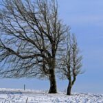 schimbare brusca a vremii ninsori semnificative si vant puternic pana sambata noua prognoza anm 6956538b9ca56