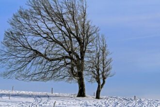 schimbare brusca a vremii ninsori semnificative si vant puternic pana sambata noua prognoza anm 6956538b9ca56