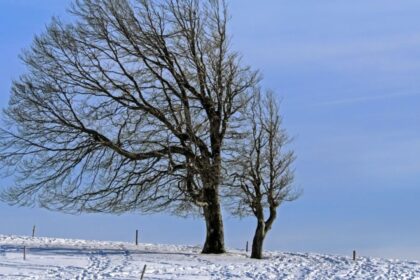 schimbare brusca a vremii ninsori semnificative si vant puternic pana sambata noua prognoza anm 6956538b9ca56