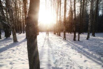 schimbare de vreme in romania dupa valul de frig accentuat temperaturile vor creste in toate regiunile 6964f06610485