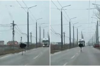 struti evadati in vaslui pe sosea ba sefule de unde ati aparut ba video 697c8a498d374