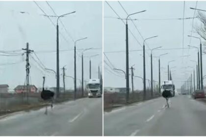 struti evadati in vaslui pe sosea ba sefule de unde ati aparut ba video 697c8a498d374