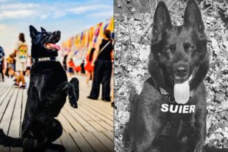 suier cainele simbol al luptei antidrog a murit a fost mai mult decat un coleg el a fost un camarad de nadejde 69581b5b70207