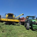 te ajuta sau nu facultatea sa te dezvolti in domeniul agricol povestea denisei absolventa a usv iasi si a fermei familiei ei foto 69667aec21bbe