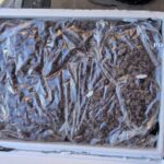 traficanti de droguri retinuti in timp ce ridicau un colet cu 35 kilograme de canabis primit din spania video 6957ae35c5c67 1