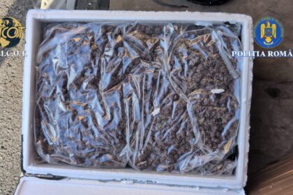 traficanti de droguri retinuti in timp ce ridicau un colet cu 35 kilograme de canabis primit din spania video 6957ae35c5c67 1