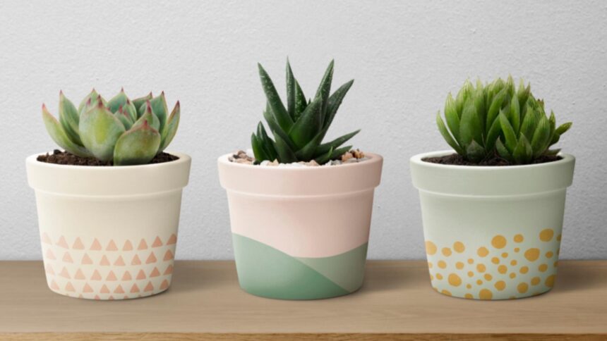 ue a pus tunurile pe banalele ghivece de flori un anumit tip va disparea din magazine pentru ca polueaza 6977872462839