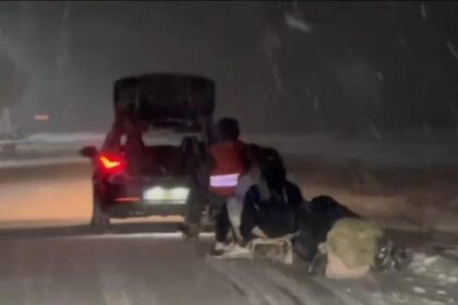 un adolescent de 17 ani a murit dupa ce sania trasa de o masina a lovit un cap de pod foto 696ab619a3df1