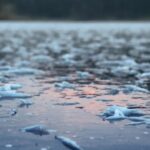 un barbat a cazut sub gheata raului mures in timp ce a incercat sa si salveze cainele a fost salvat la timp de un pompier scafandru 6957fbb4f37dc