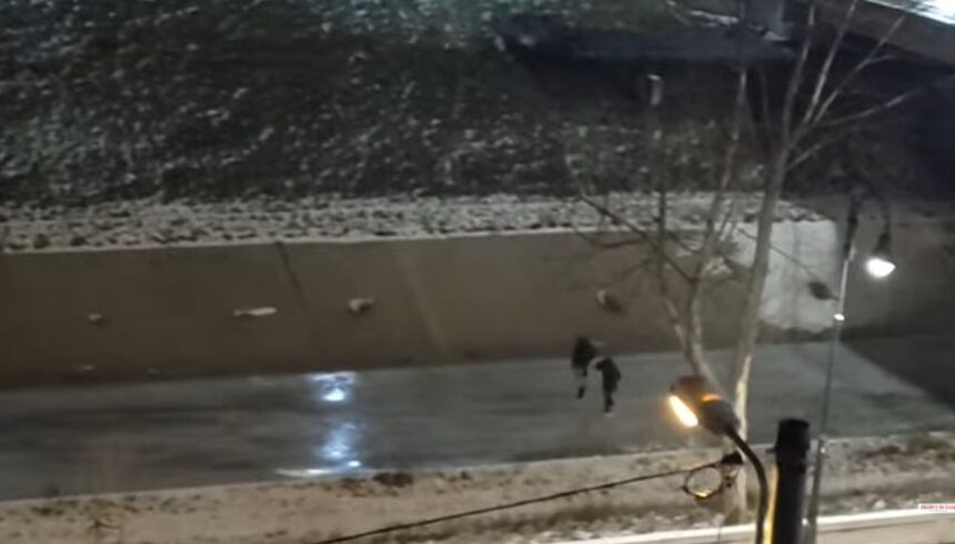 un nou sport extrem la iasi patinaj pe raul bahlui video 696d23fcb5232