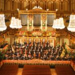 viena lovita de austeritate mai multe muzee dedicate marilor compozitori se inchid cu totii trebuie sa facem economii aceasta este realitatea in care traim 697220fd11d76